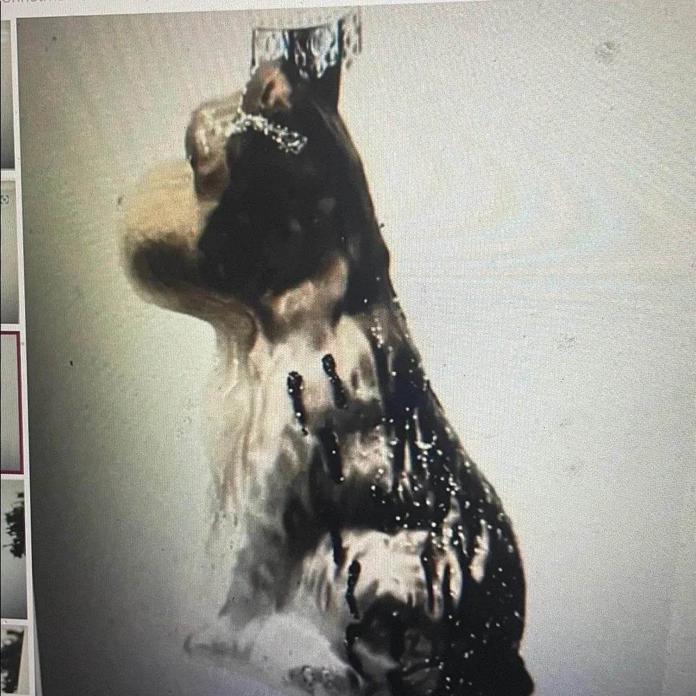 Old World Christmas Ornaments Grey Schnauzer Glass Blown Ornaments